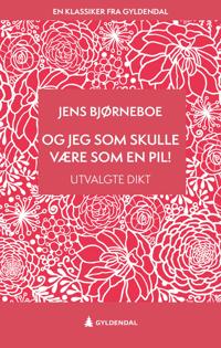 Og jeg som skulle være som en pil!