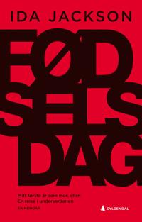 Bokomslag for Fødselsdag; mitt første år som mor, eller En reise i underverdenen