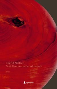 Bokomslag for "Små flammer er det nå overalt"