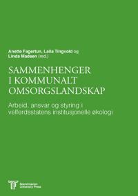 Sammenhenger i kommunalt omsorgslandskap