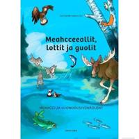 Meahcceeallit, lottit ja guolit
