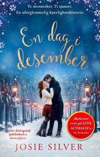 En dag i desember; en julehistorie om kjærlighet