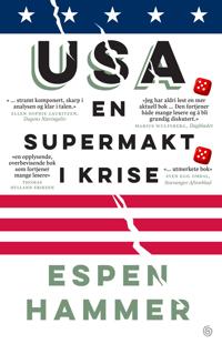 USA - en supermakt i krise