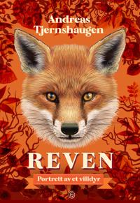 Reven; portrett av et villdyr