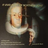 Vivid Shaft of Northern Light