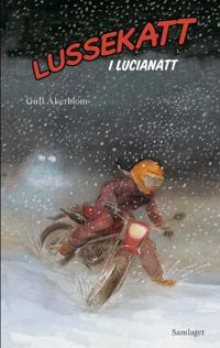 Lussekatt i lucianatt