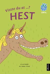 Hest