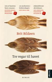 Bokomslag for "Tre vegar til havet"
