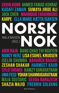 Norsk nok: tekster om identitet og tilhørighet