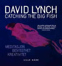 Catching the big fish; meditasjon, bevissthet og kreativitet