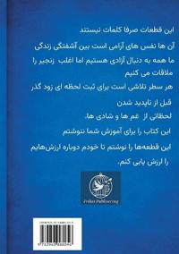 همه آنچه می بایست بگویم