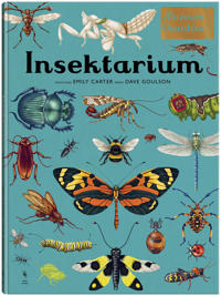Insektarium. Muzeum Owadów
