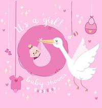 Special Delivery - It's a Girl! A Baby Shower Guest Book