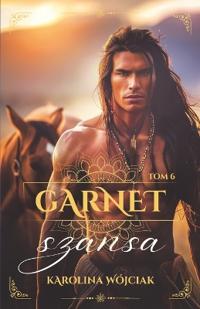 Garnet. Tom 6. Szansa