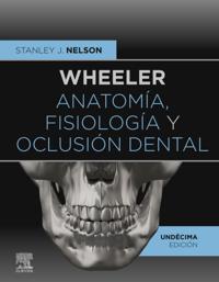 Wheeler. Anatomía, fisiología y oclusión dental