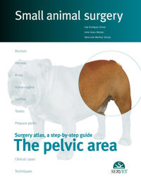 The pelvicaArea. Small animal surgery