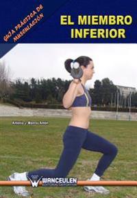 Guia practica de musculacion: el miembro inferior