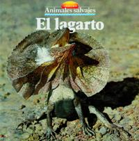 El lagarto