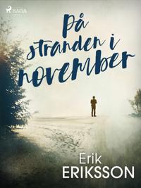 På stranden i november
