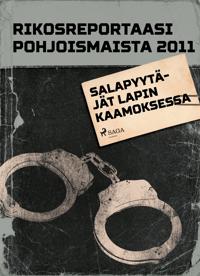 Salapyytäjät Lapin kaamoksessa