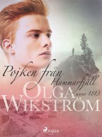 Pojken från Hammarfjäll : anno 1813