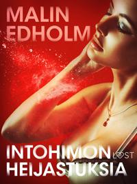 Intohimon heijastuksia – eroottinen novelli