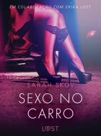 Sexo no carro - Um conto erotico