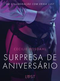 Surpresa de Aniversario - Um conto erotico