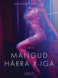 Mängud härra X-iga - Erootiline lühijutt