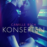 Konserten - erotisk novell