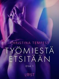 Työmiestä etsitään Osa 1 - eroottinen novelli