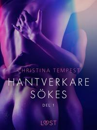 Hantverkare sökes Del 1 - erotisk novell