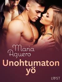 Unohtumaton yö – eroottinen novelli