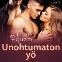 Unohtumaton yö – eroottinen novelli