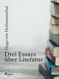 Drei Essays über Literatur