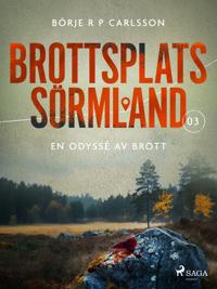 Brottsplats Sörmland. 3, En odyssé av brott