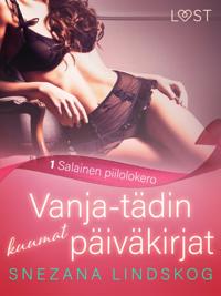 Vanja-tädin kuumat päiväkirjat 1: Salainen piilolokero – eroottinen novelli