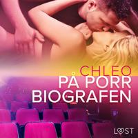 På porrbiografen - erotisk novell