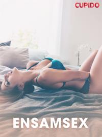 Ensamsex - erotiska noveller