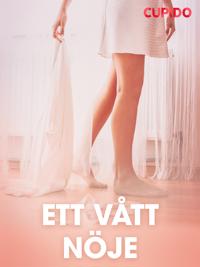 Ett vått nöje - erotiska noveller