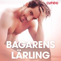 Bagarens lärling - erotiska noveller