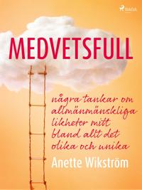 Medvetsfull: några tankar om allmänmänskliga likheter mitt bland allt det olika och unika