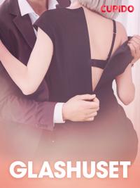Glashuset – erotisk novell
