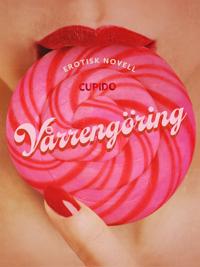 Vårrengöring - erotisk novell