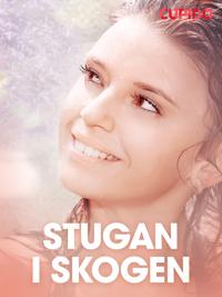 Stugan i skogen – erotisk novell