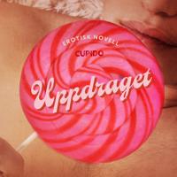 Uppdraget - erotisk novell