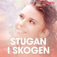 Stugan i skogen – erotisk novell