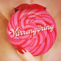 Vårrengöring - erotisk novell