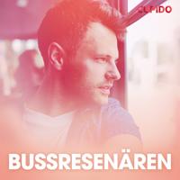 Bussresenären – erotisk novell