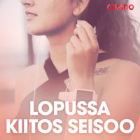 Lopussa kiitos seisoo – eroottinen novelli